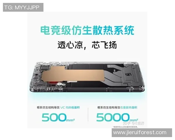 V5在s15电竞城市赛中的表现分析与比赛经验总结